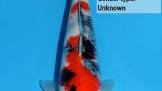 Dainichi SuperMonster 265